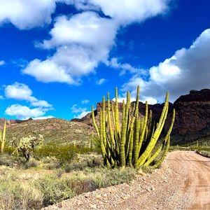 Any Jewelry Listing - Make an offer!